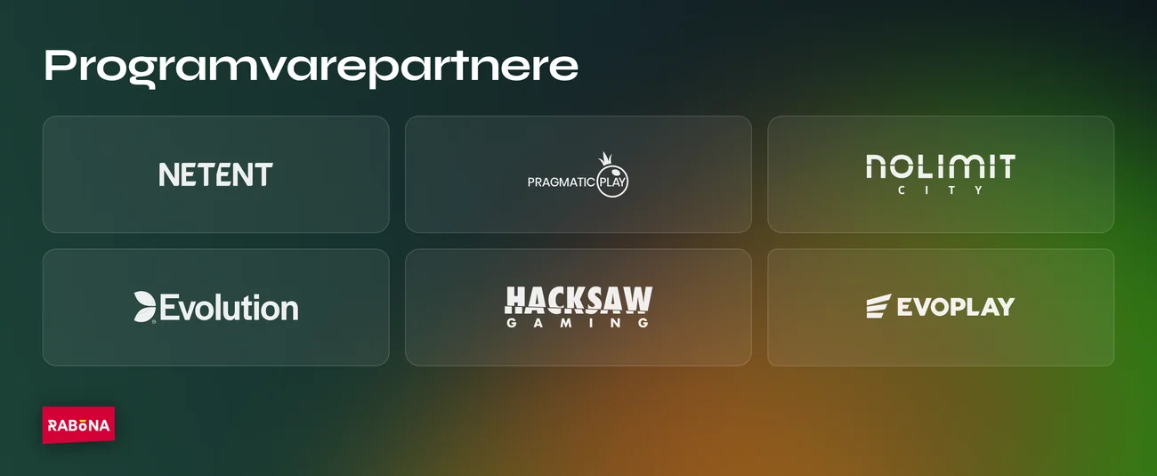 Spill hos programvarepartnere